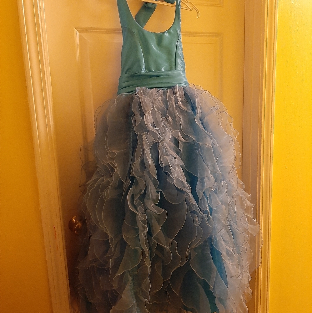 Size 10 little girl pageant dress